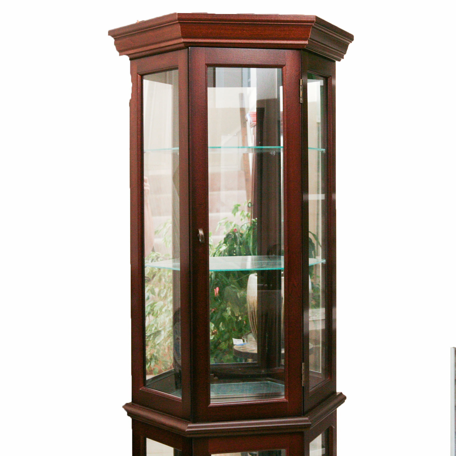 Wooden and Glass Hexagonal Curio EBTH